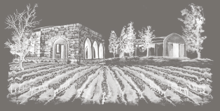 winery-image